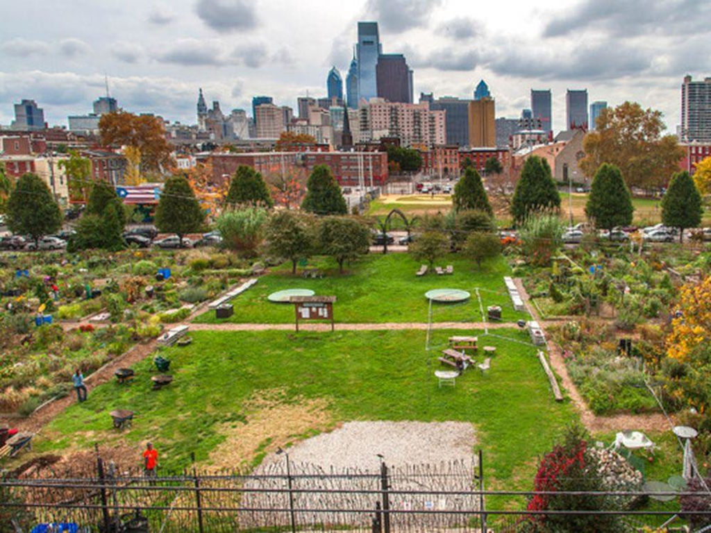 Spring Gardens Community Garden Photo [Facebook Group]